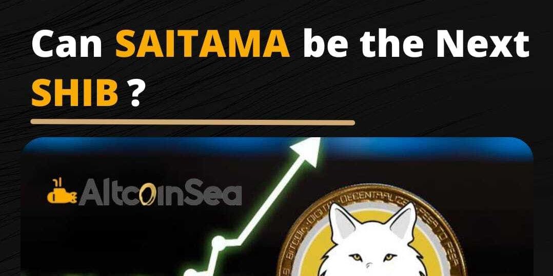 Cover Image for Why Saitama can be the next Shiba Inu